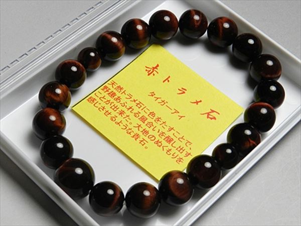 丸玉 虎 seian_t671-6034